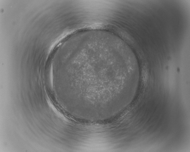 X0000051890730200507151938