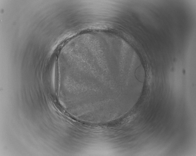 X0000051890731200507151938