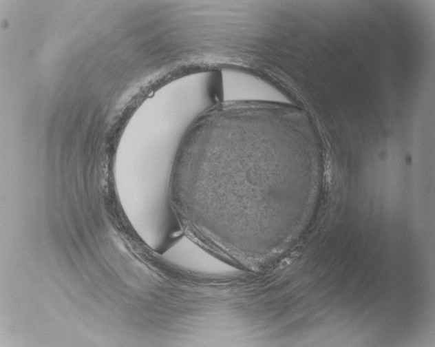 X0000051890732200507151938