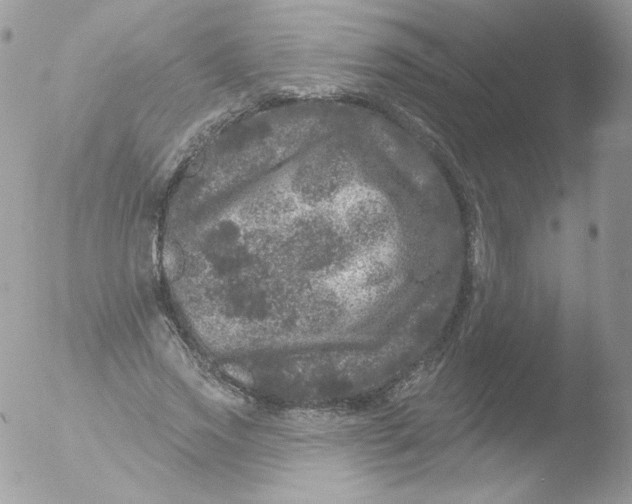 X0000051890733200507151938