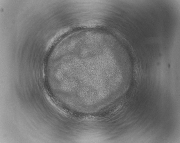 X0000051890734200507151938