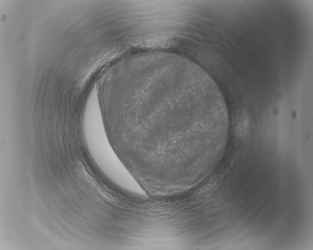 X0000051890735200507151938