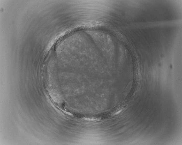 X0000051890736200507151938