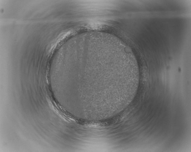 X0000051890738200507151938