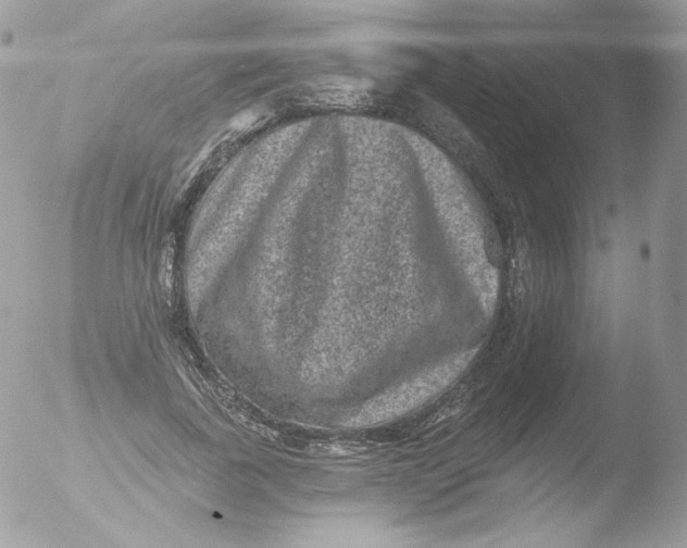 X0000051890739200507151938