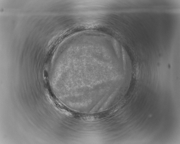 X0000051890740200507151938