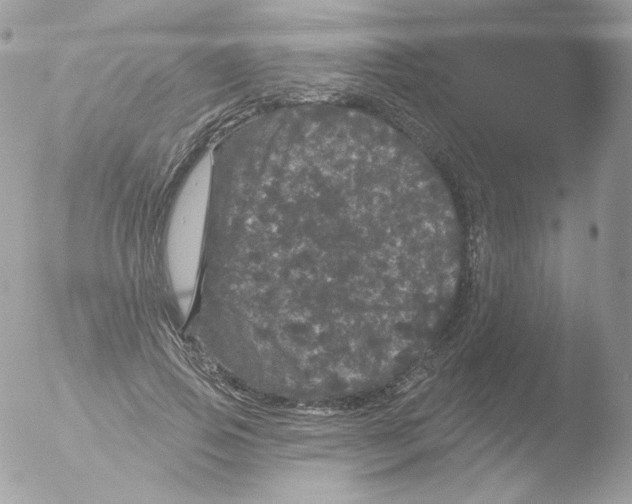 X0000051890741200507151938