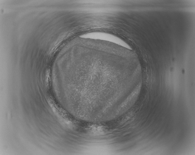 X0000051890742200507151938