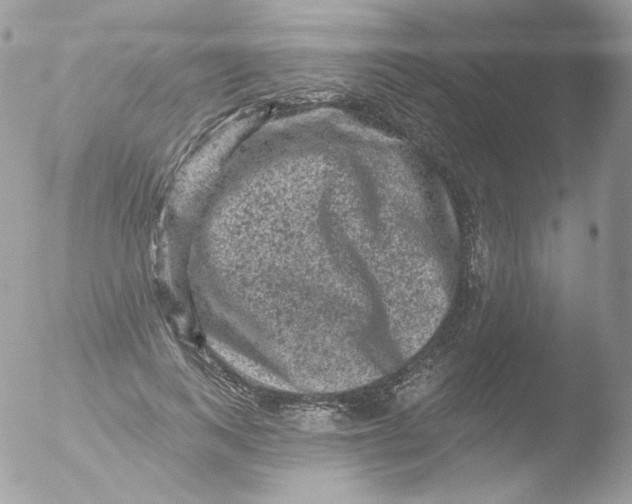 X0000051890743200507151938