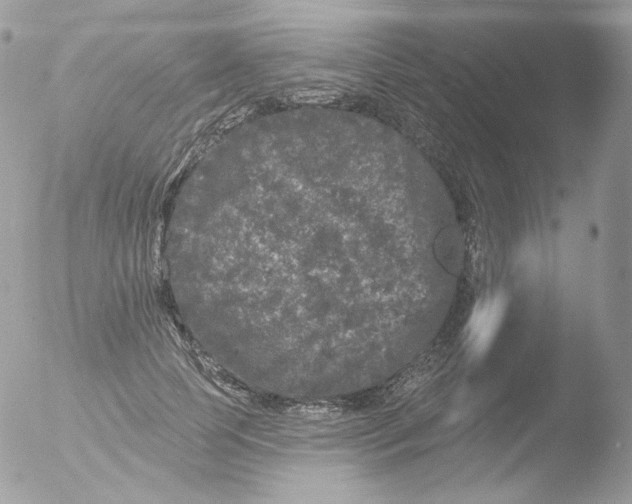 X0000051890745200507151938