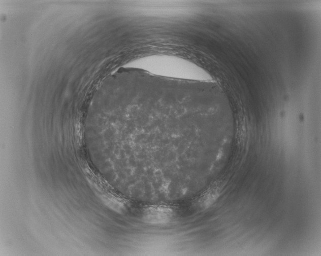 X0000051890749200507151938