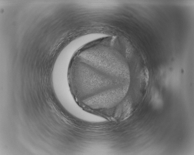 X0000051890750200507151938