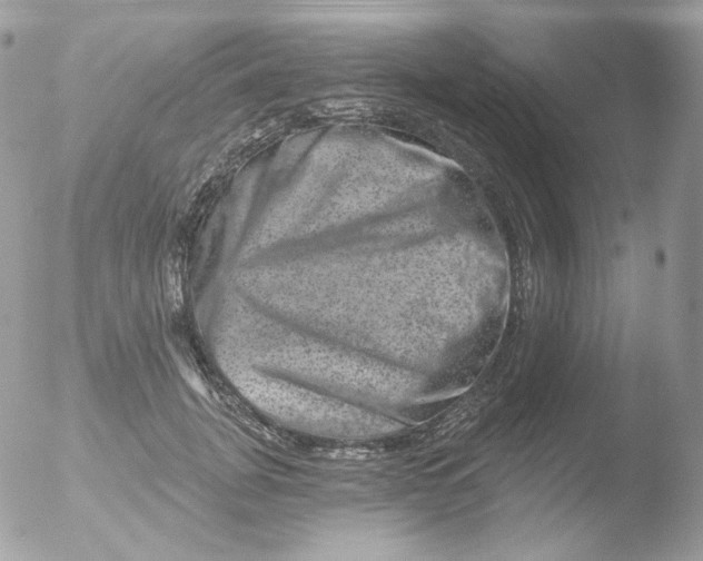 X0000051890751200507151938