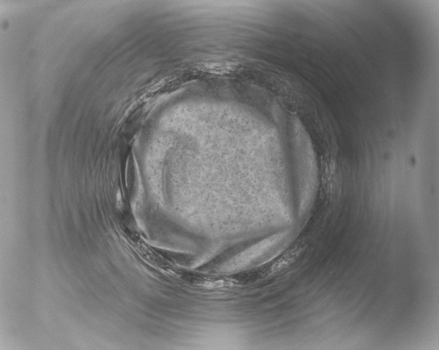 X0000051890752200507151938