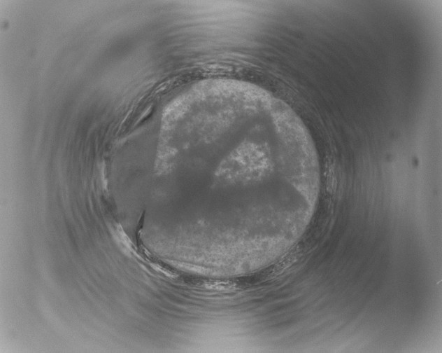 X0000051890753200507151938