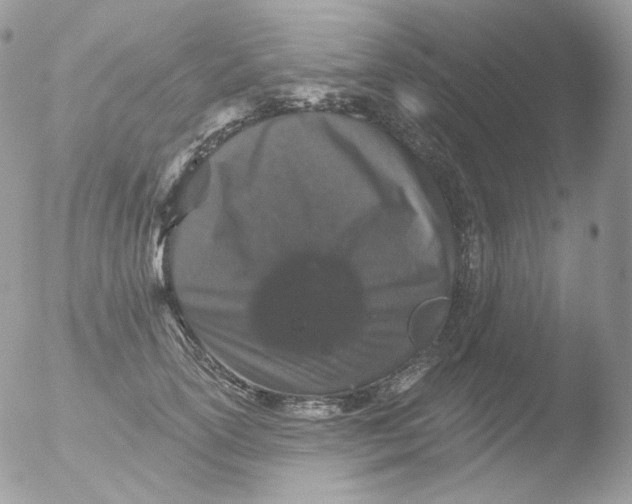 X0000051890754200507151938