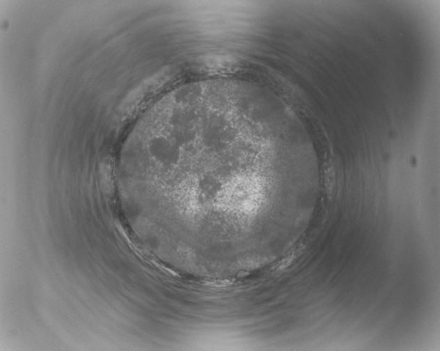 X0000051890757200507151938