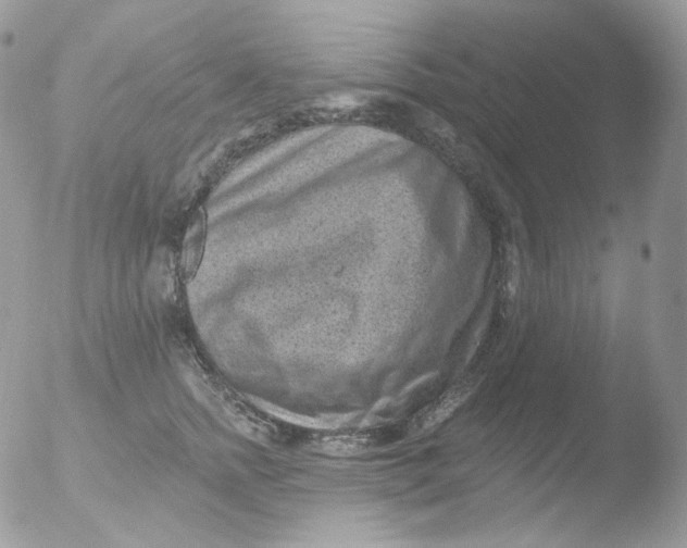 X0000051890758200507151938