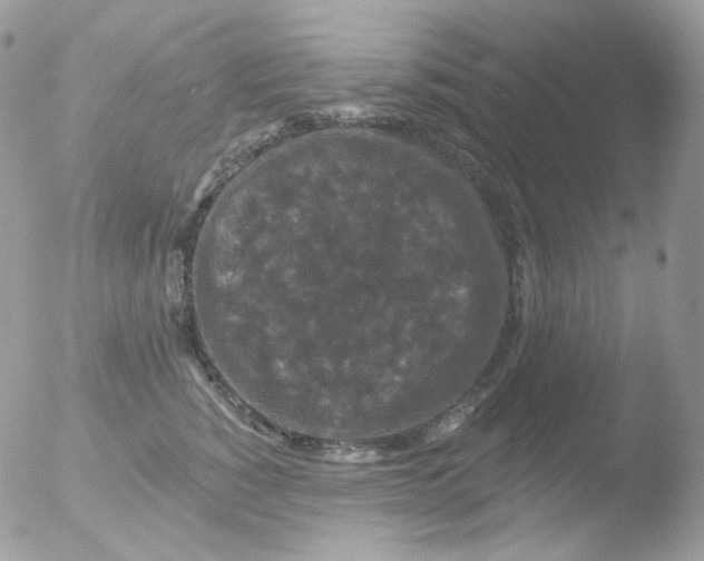 X0000051890760200507151938