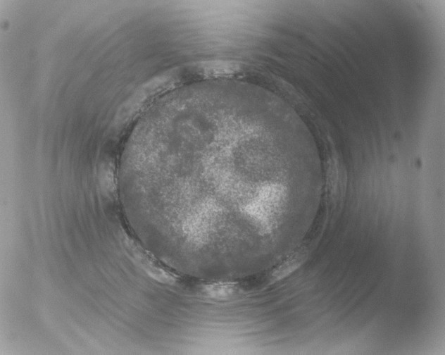 X0000051890761200507151938