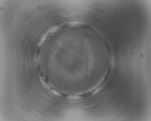 X0000051890766200507151938