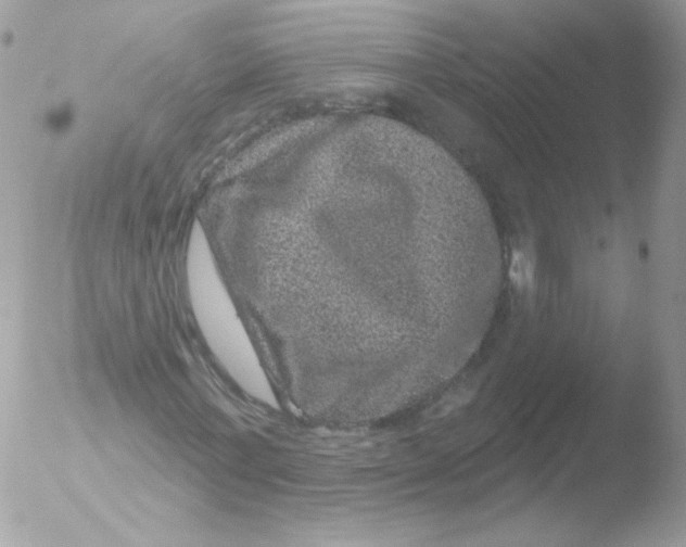 X0000051890771200507151938