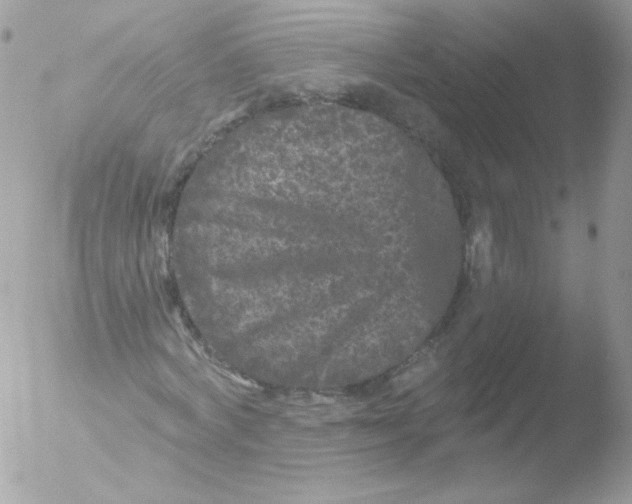 X0000051890772200507151938