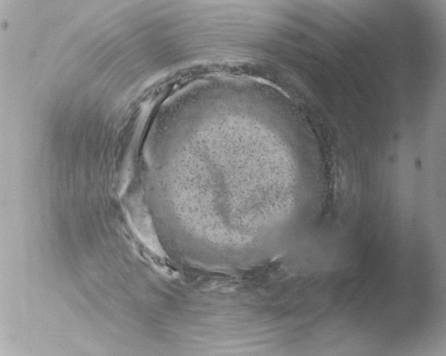 X0000051890773200507151938