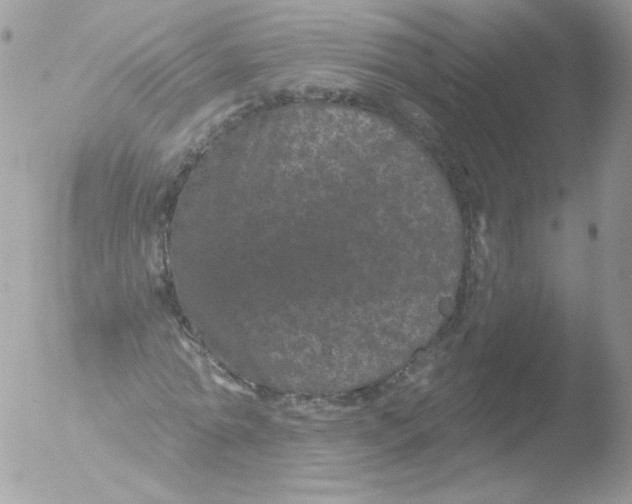 X0000051890774200507151938