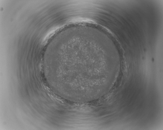 X0000051890775200507151937