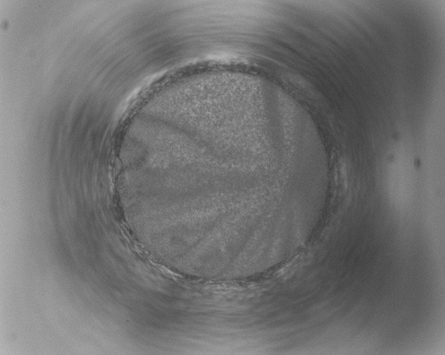 X0000051890776200507151937