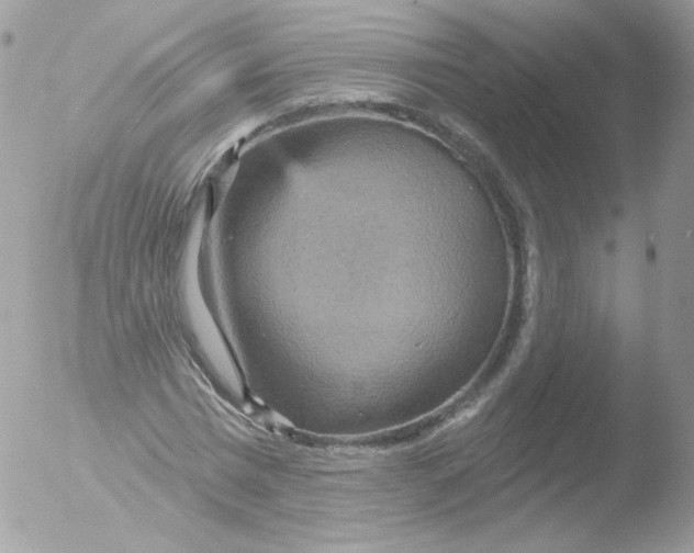 X0000051890777200507151937