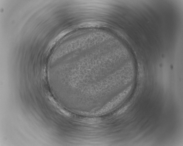 X0000051890778200507151937