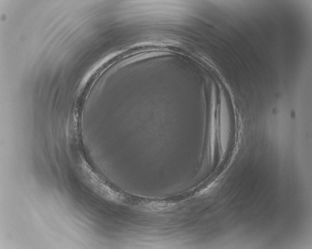 X0000051890779200507151937