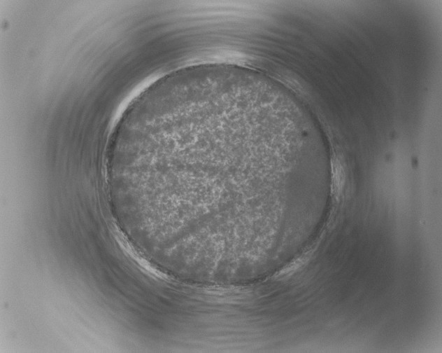 X0000051890780200507151937