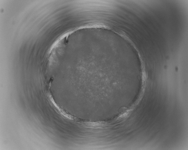 X0000051890781200507151937