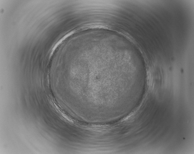 X0000051890782200507151937