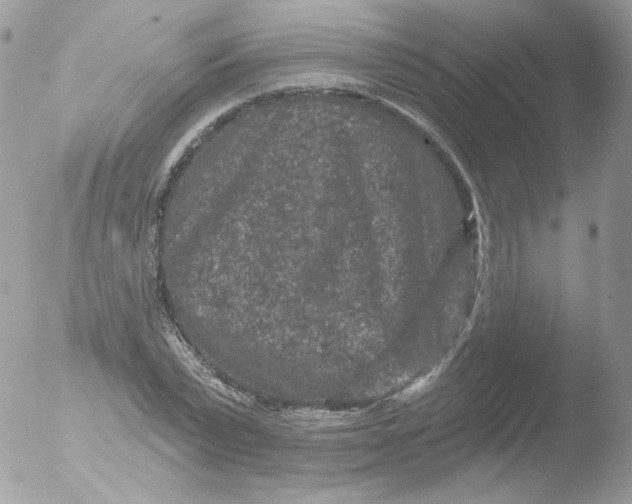 X0000051890783200507151937