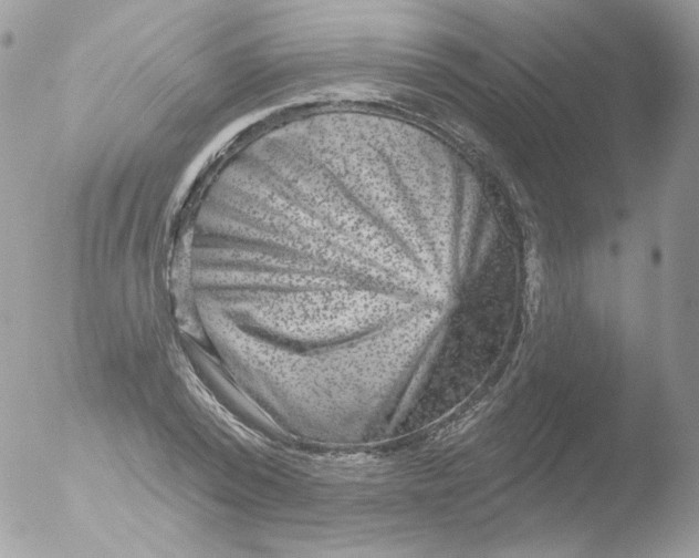 X0000051890784200507151937