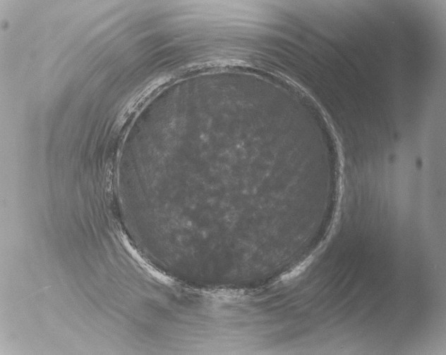 X0000051890785200507151937