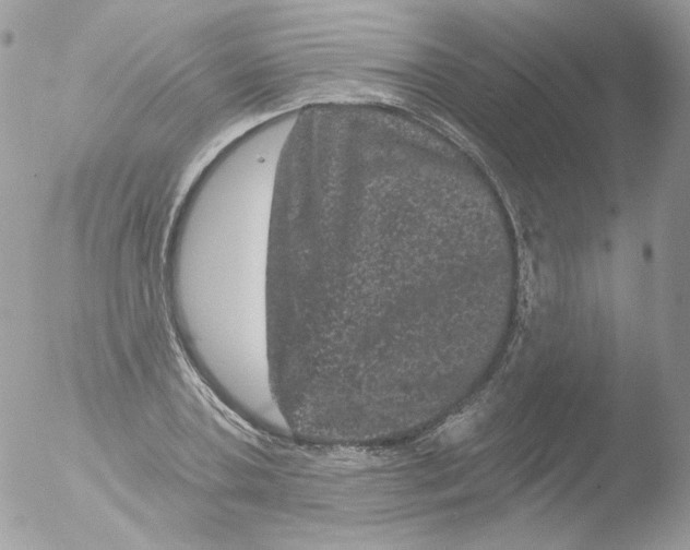 X0000051890787200507151937