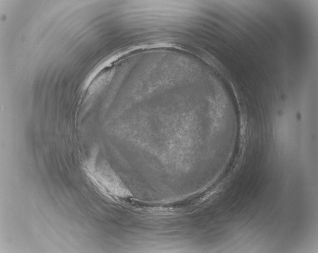 X0000051890789200507151937