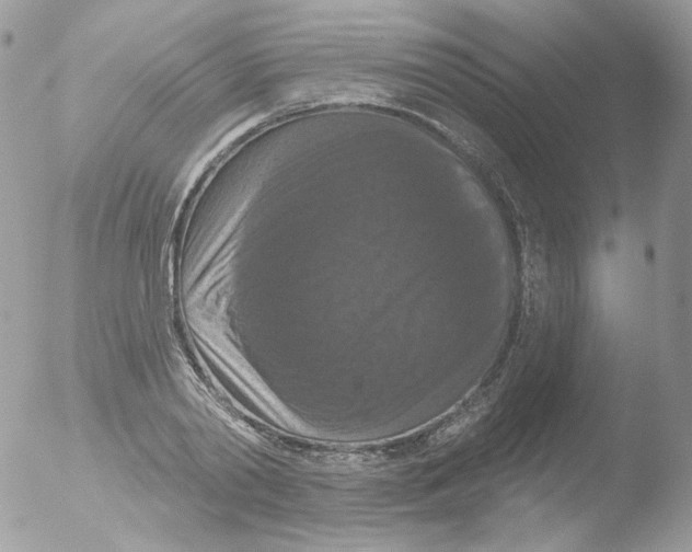 X0000051890790200507151937