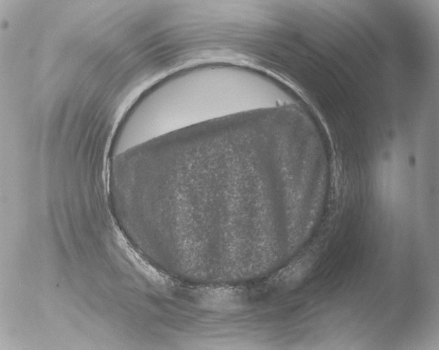 X0000051890791200507151937