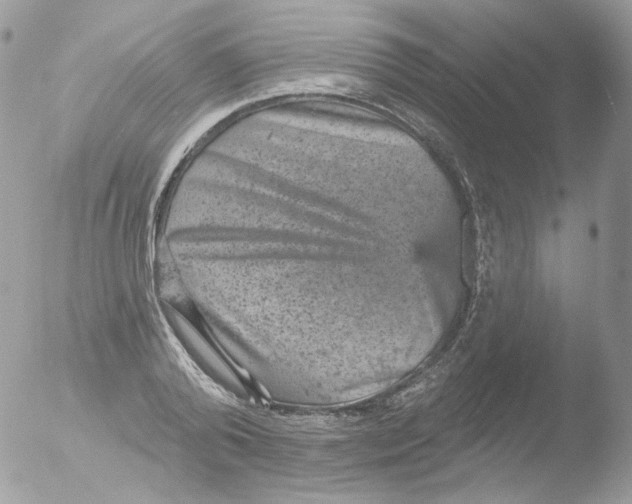 X0000051890792200507151937