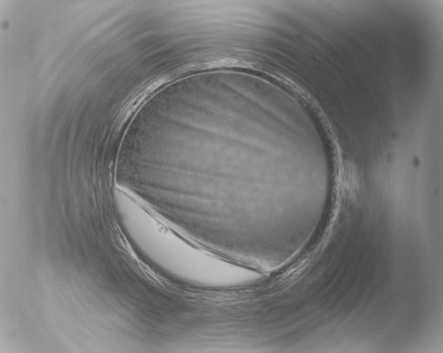 X0000051890793200507151937