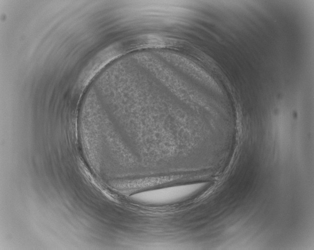 X0000051890794200507151937