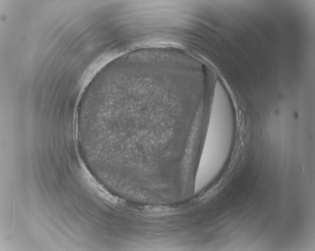 X0000051890795200507151937