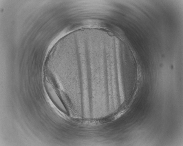 X0000051890803200507151937