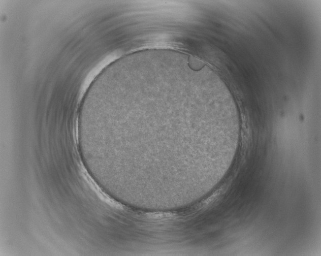 X0000051890804200507151937